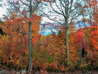 Fall colors