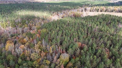 County Road 9, Bruce, MS 38915 - photo 6