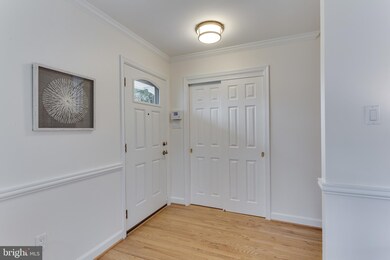 8507 Cyrus Place, Alexandria, VA 22308 - photo 4