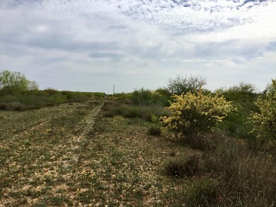 0 Farm To Market Road 468, Cotulla, TX - photo 5