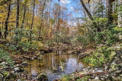 00 River Rd, Tellico Plains, TN 37385 - photo 5