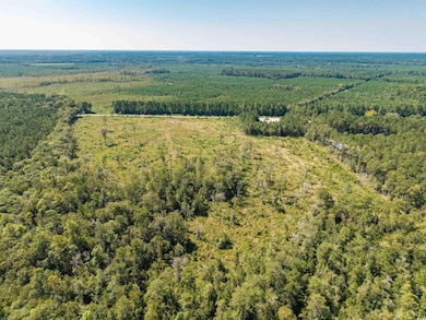 TBD Pitch Landing Rd, Conway, SC 29527 - photo 6