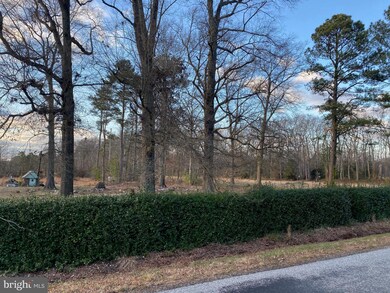 4343 Cattail Branch Rd, Harrington, DE 19952 - photo 7