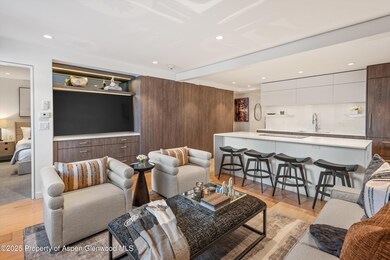 800 S Mill St unit 7B, Aspen, CO 81611 - photo 6