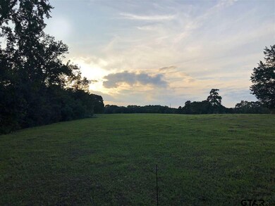 11013 County Road 233, Arp, TX 75750 - photo 6