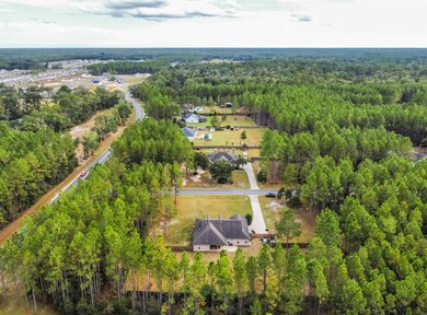 14 Loblolly Dr, Crawfordville, FL 32327 - photo 6