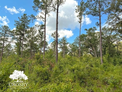 0 Hollow Creek Farm Rd, Aiken, SC 29803 - photo 7