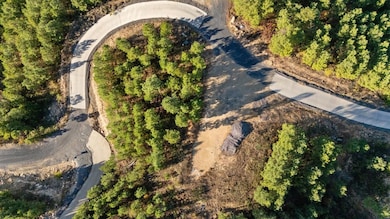 346 Overcup Oak Trail, Broken Bow, OK 74728 - photo 7