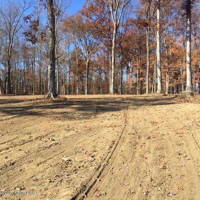 0 Shadow Wood Ct, Mount Washington, KY 40047 - photo 6