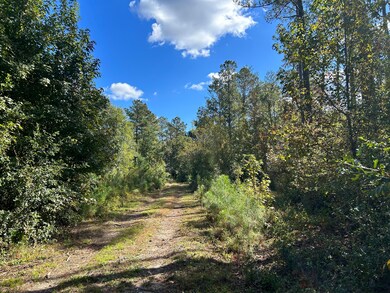 2000 Oak Hill Rd, Eastover, SC 29044 - photo 3