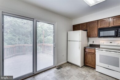 6362 Chimney Wood Ct, Alexandria, VA 22306 - photo 6