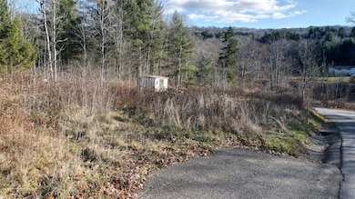 343 Palmer Hill Rd, Fenton, NY 13833 - photo 3