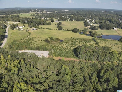 0 New Harmony Rd unit 35 acres +/-, Clanton, AL 35045 - photo 3