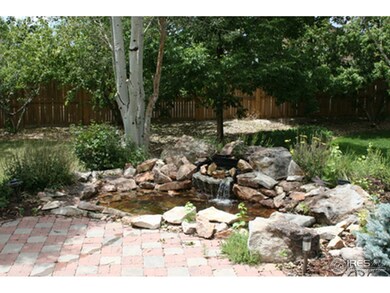 Patio / Pond