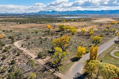 TBD Road 29, Cortez, CO 81321 - photo 6