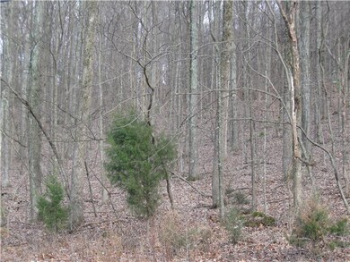Have your own getaway cabin in the woods.