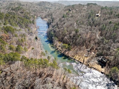 32 Holly Ridge, Ellijay, GA 30540 - photo 6