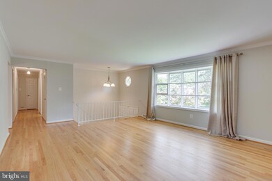 708 Macarthur Ave NE, Vienna, VA 22180 - photo 5