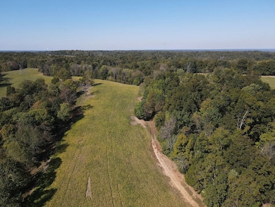 1551 Buck Smith Rd, Palmyra, TN 37142 - photo 5