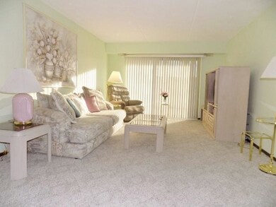 828 Graceland Ave unit 302, Des Plaines, IL 60016 - photo 2