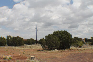Parcel D Bourdon Ranch Rd, Show Low, AZ 85901 - photo 3