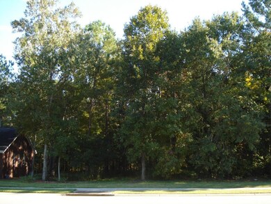 Lot in the Hamlets 012.JPG
