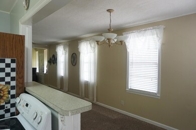 4832 Louisa Terrace, Jacksonville, FL 32205 - photo 6