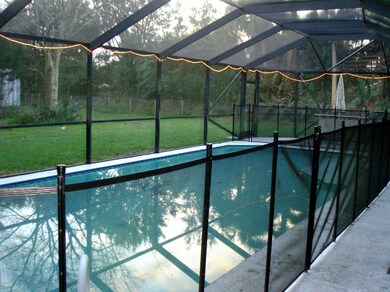 Areca Palm Pool1