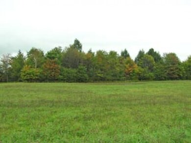 Lot 3 survey