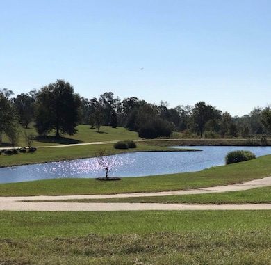 119 Weeping Willow Trail, Headland, AL 36345 - photo 6