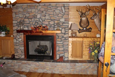 286 County Road 256, Wedowee, AL 36278 - photo 5