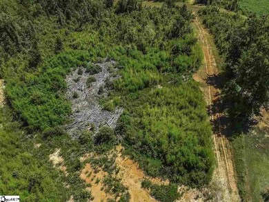 0 Roddy Rd, Woodruff, SC 29388 - photo 7