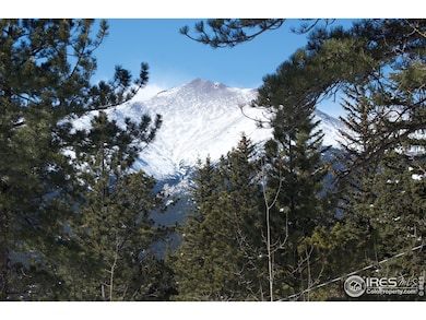 747 Coyote Hill Rd, Allenspark, CO 80510 - photo 2