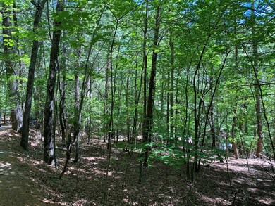 00 Ruby Cir, Franklin, NC 28734 - photo 6