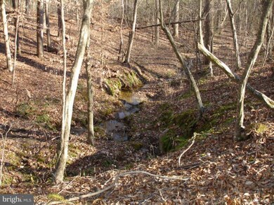 0 Curling Creek Ln unit 1003865754, Rixeyville, VA 22737 - photo 6