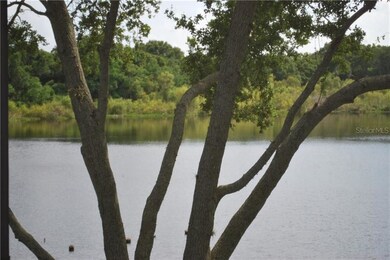 View from screened porch