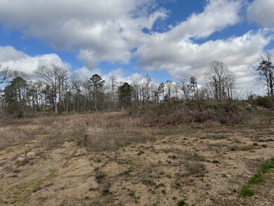 Tbd Hwy 112, Forest Hill, LA 71430 - photo 6