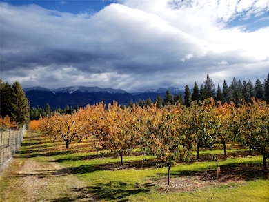 32624 S Finley Point Rd, Polson, MT 59860 - photo 5