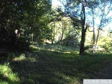 0 Church Ave unit 94606, Germantown, NY 12526 - photo 2