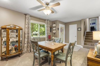 5-web-or-mls-DSC03234