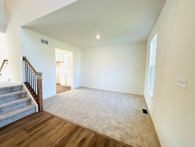 11110 Michigan Place, Crown Point, IN 46307 - photo 5