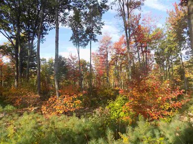 0 U S 302, Conway, NH 03818 - photo 6