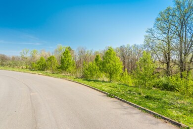 2106KingViewLoop