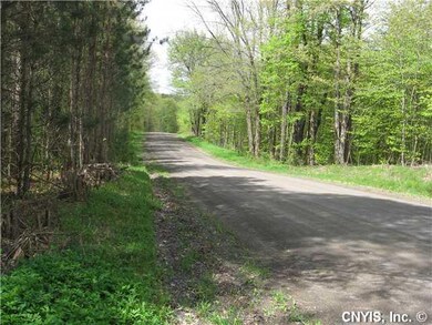 View. Land is adjacent from State forest. View dow