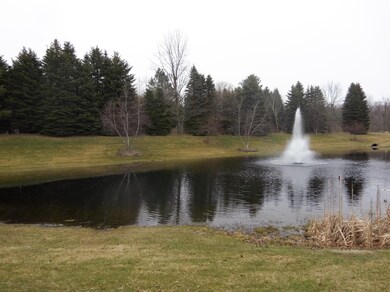7660 Stations Dr SW unit 4, Byron Center, MI 49315 - photo 3