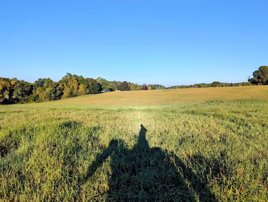 0 Daniels Run Rd, Check, VA 24072 - photo 3