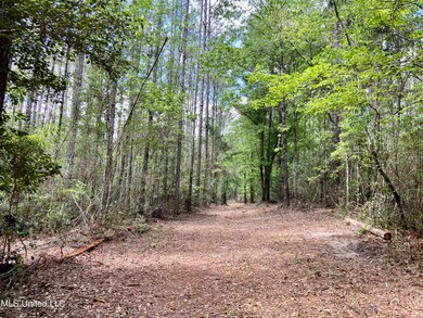 1 Basin Refuge Rd, Lucedale, MS 39452 - photo 3