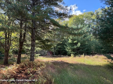 25 Braziel Heights Rd, Kerhonkson, NY 12446 - photo 4