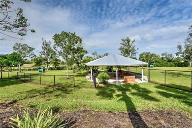 Dog Park