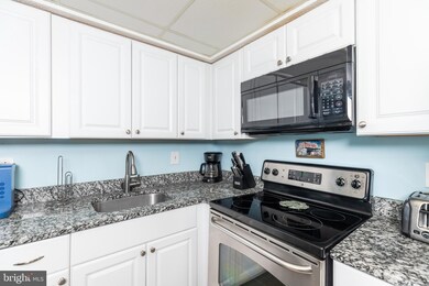 Bay Princess unit 204, Ocean City, MD 21842 - photo 2